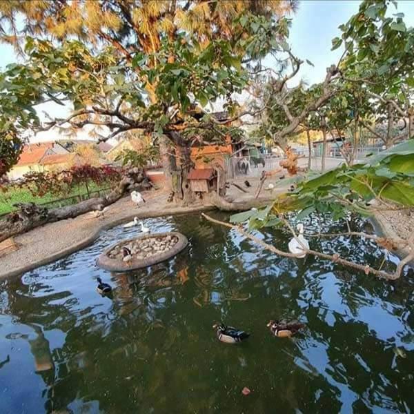 Apartman Normanci Near Bizovac Thermal Spa 外观 照片
